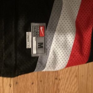 Vintage Rasheed Wallace jersey super old